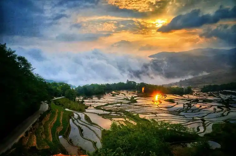 菁口梯田 写美篇        多依树梯田景区位于元阳梯田国家湿地公园及