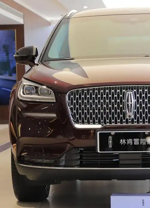 牛车网实拍2022款林肯冒险家_搜狐汽车_搜狐网