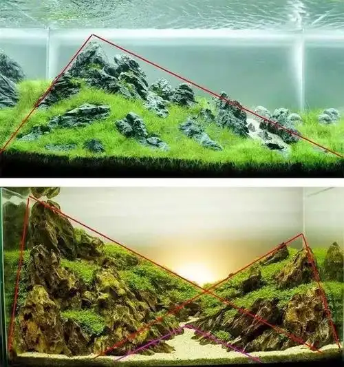 鱼缸水草造景构图攻略