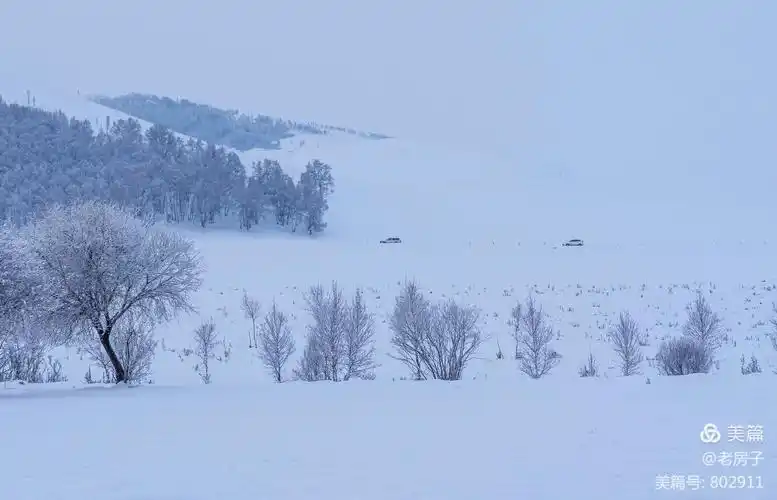 塞外坝上,雪域生灵 分享坝上雪景拍摄体会