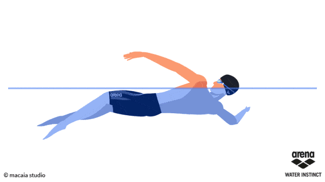 arena 游泳动画