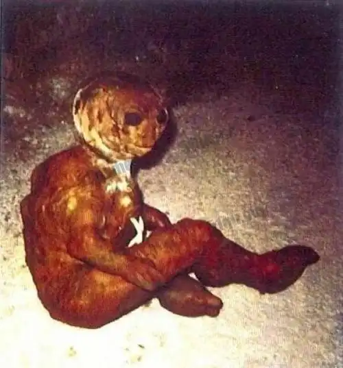 乐芙兰青蛙人之谜-51区未解之谜网