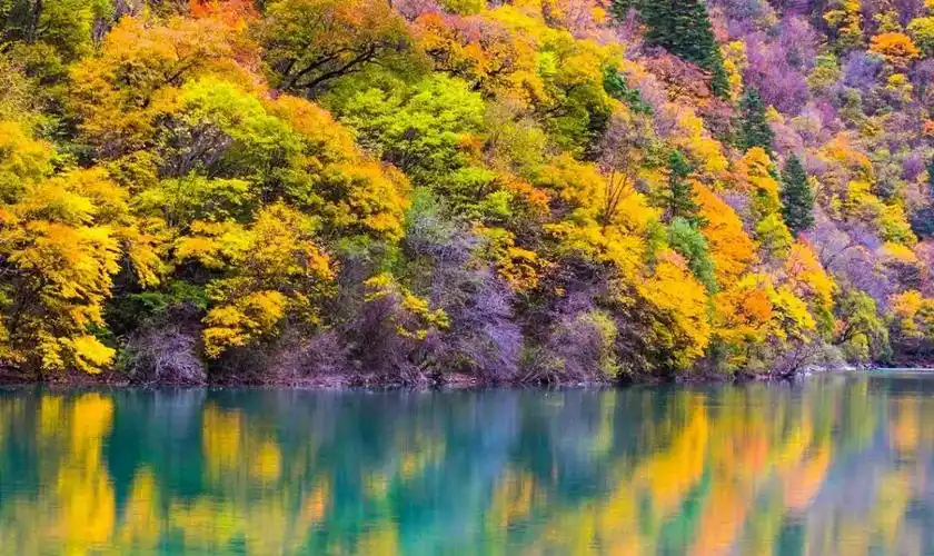 中国金秋10大最美红叶林铺天盖地的红火红撩人