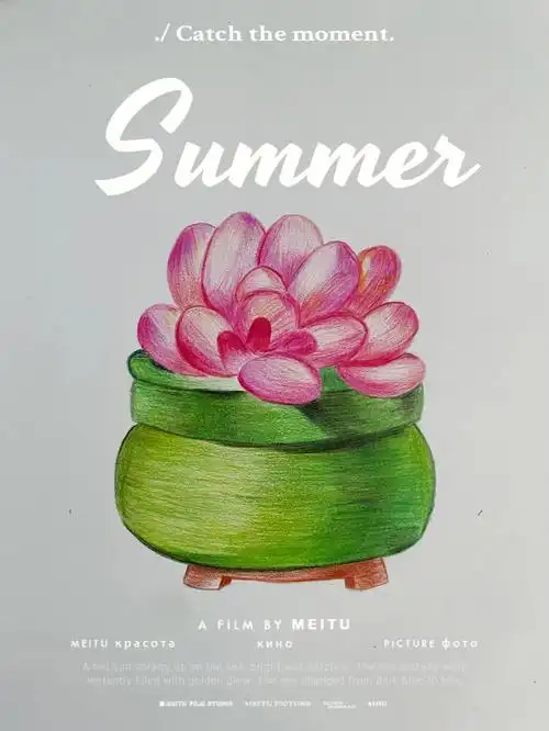 彩铅画多肉植物