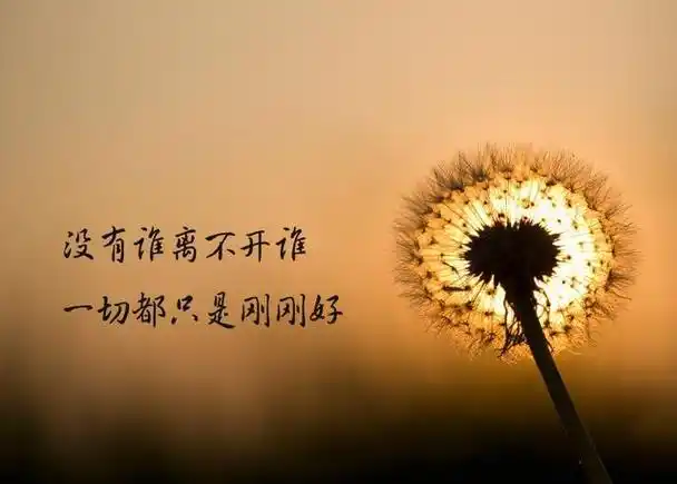 心情说说:最伤感的事不是失去,而是努力珍惜过后的离去