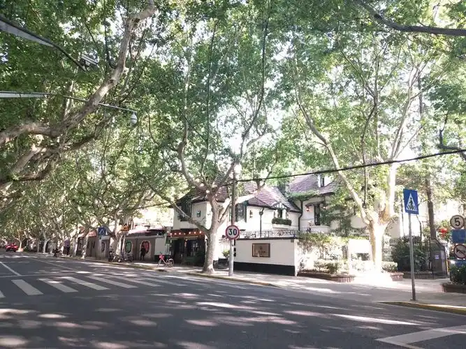 上海新华路街景
