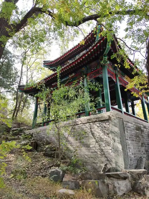 2020年10月29日燕园秋色