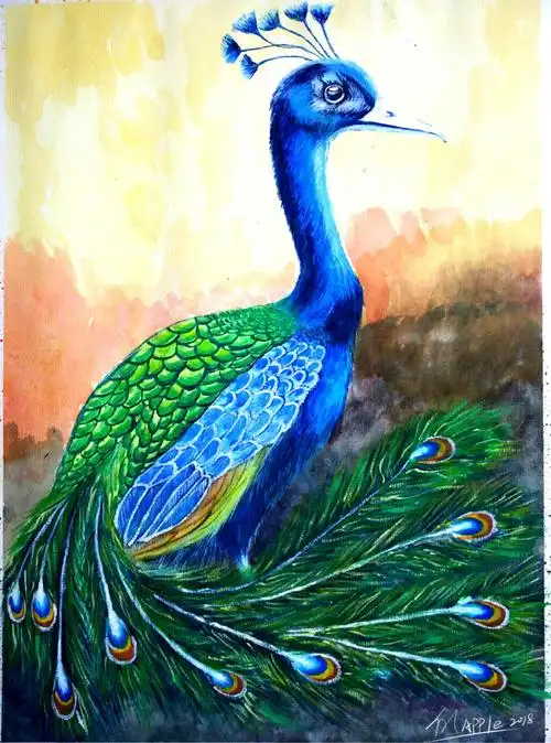 孔雀|纯艺术|绘画|min峰 - 原创作品 - 站酷 (zcool)