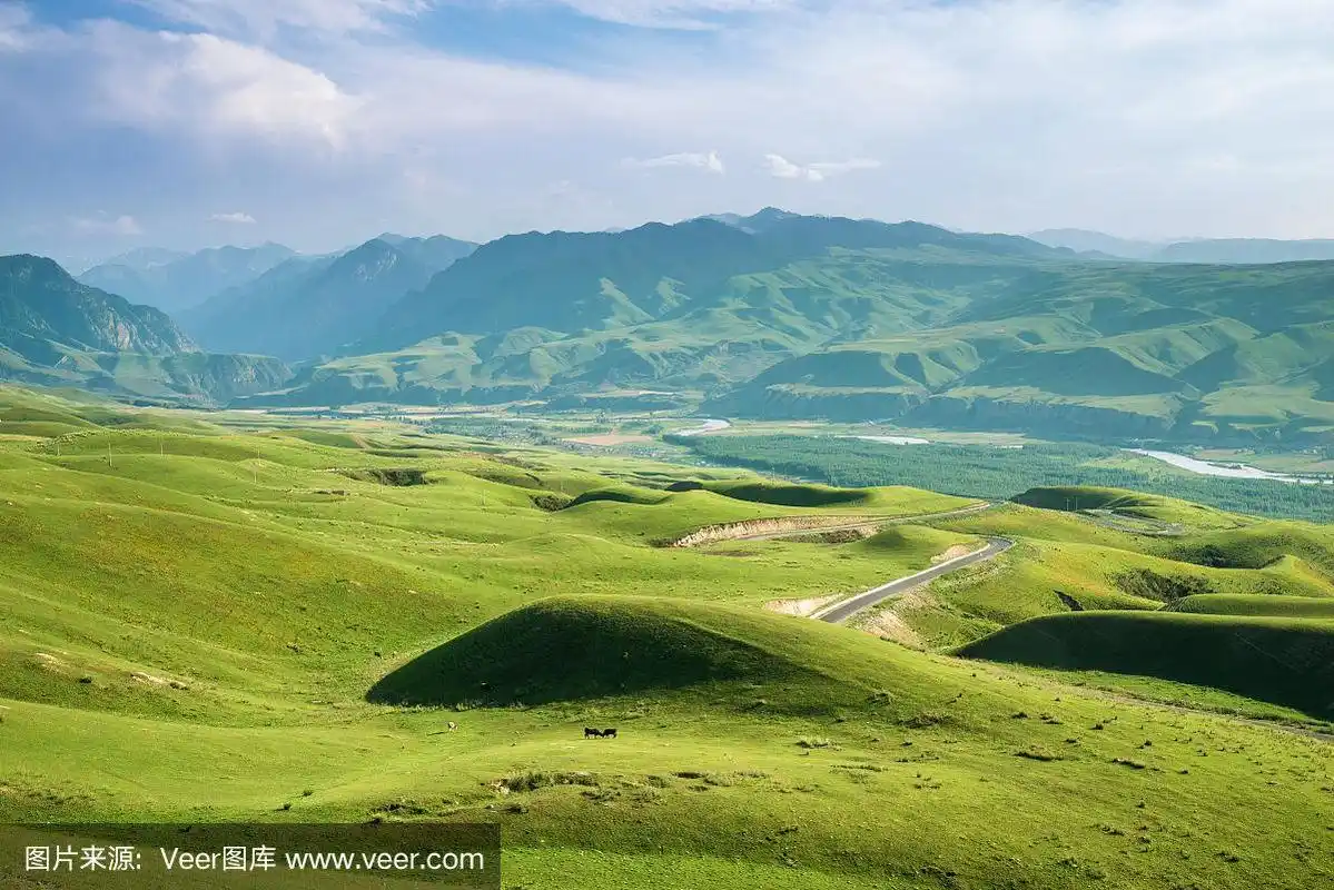 中国新疆天山高寒草甸
