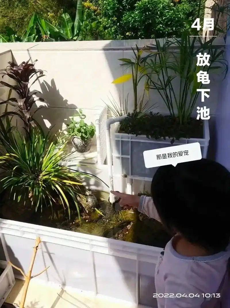 双向同程沼泽过滤的变化.