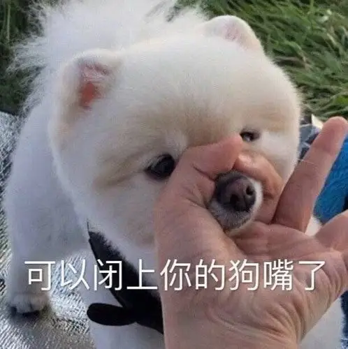 狗头表情包特辑太多了有点杂哈哈哈哈