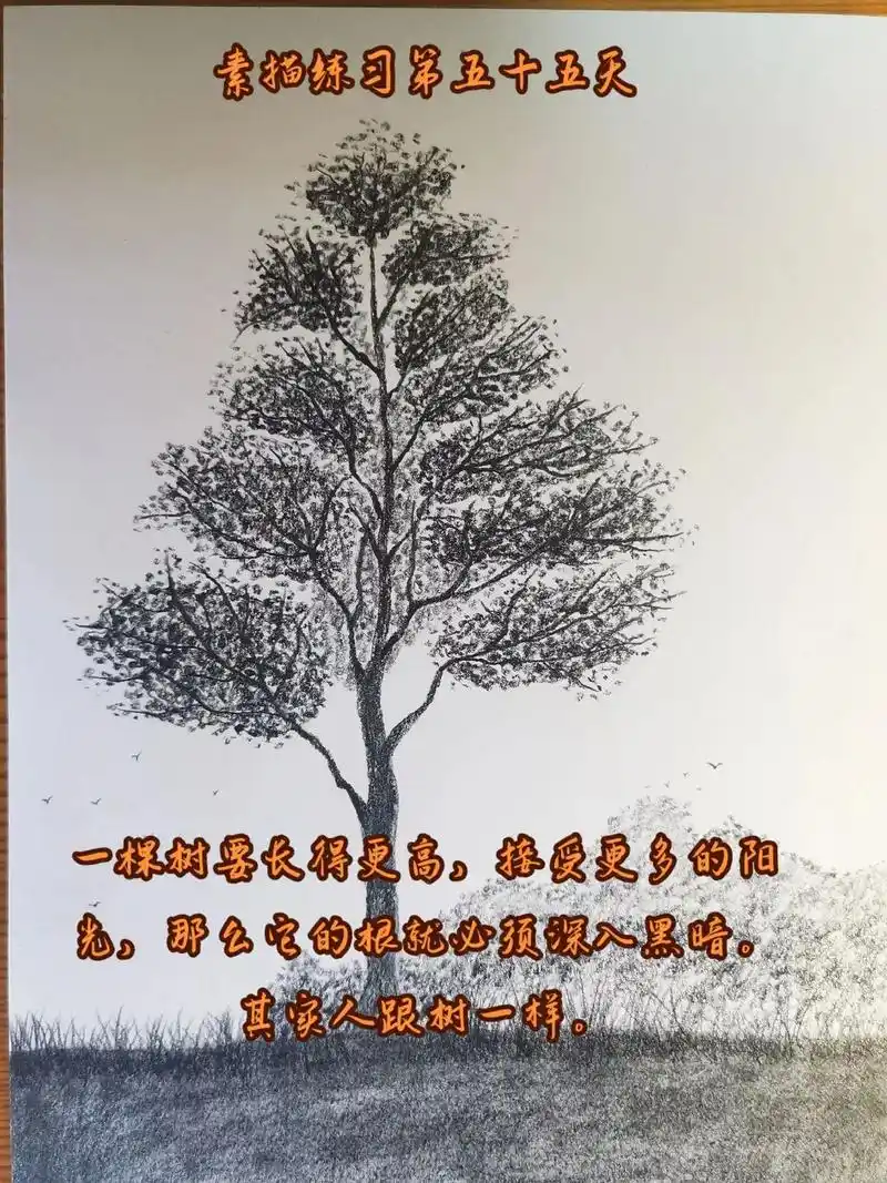 素描基础训练.一棵树要长得更高,接受更多的阳光,那么它的根就 - 抖音