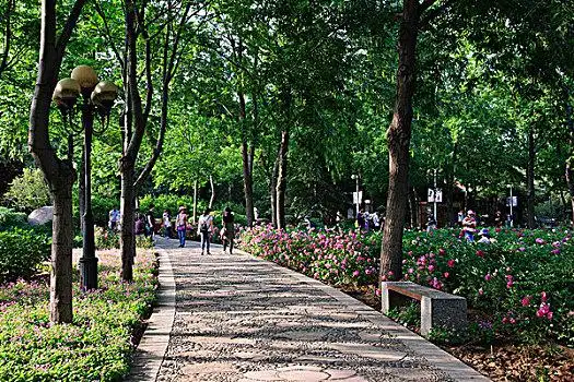 公园图片_公园图片大全_公园图片素材