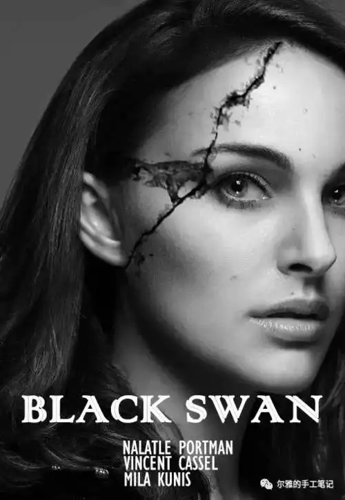 影评黑天鹅同一根羽毛的不同时刻