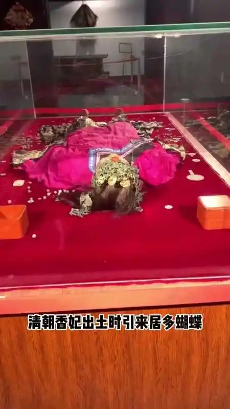 清朝香妃出土时引来居多蝴蝶