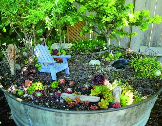 加国园艺:教你制作一个迷你花园!(下)