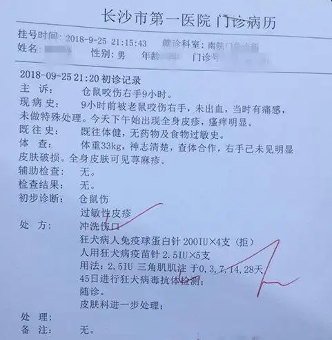 8岁男童校门口10块钱买仓鼠被咬伤全身起红疹