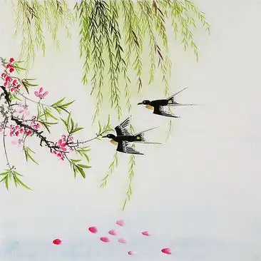 手绘柳树和燕子