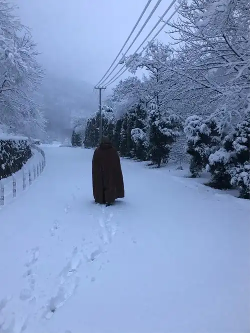 师父雪中经行的背影