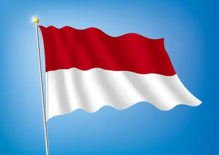 我国与波兰建立外交关系