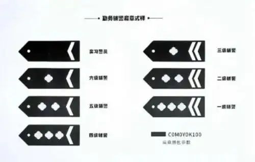 最新款曝光被称为最值得全国推广的辅警肩章臂章