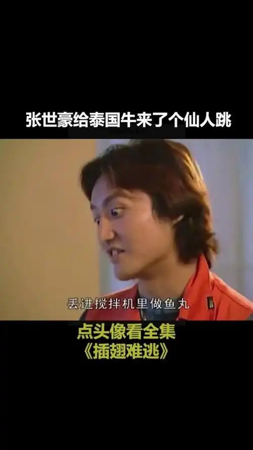 插翅难逃张世豪