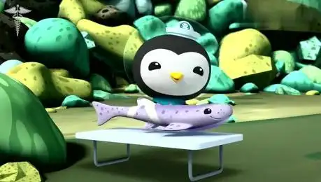 海底小纵队:章教授带着一张小章鱼的照片在海底询问小鱼们