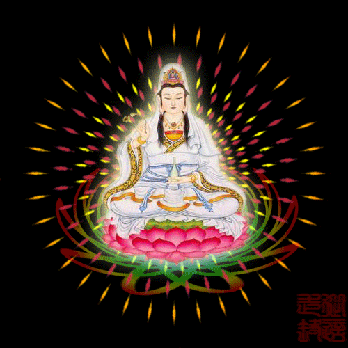 500_500gif 动态图 动图