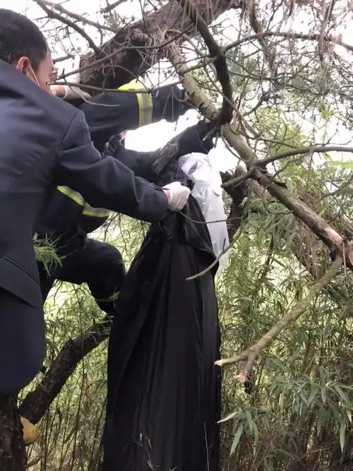 突发!恵山半山腰现一上吊男子 死亡至少3个月以上