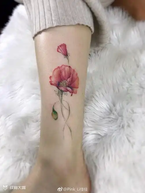 小腿罂粟花._纹身图案手稿图片_pink_li的纹身作品集