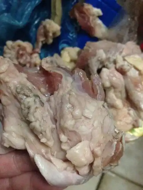 猪肉摊上贩卖极有可能是用这些淋巴肉制作的你在市面上买到的来路不明