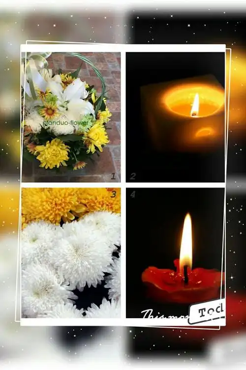 又是一年清明节祭奠哀思我们逝去的亲人永远缅怀愿天堂的亲人安息在