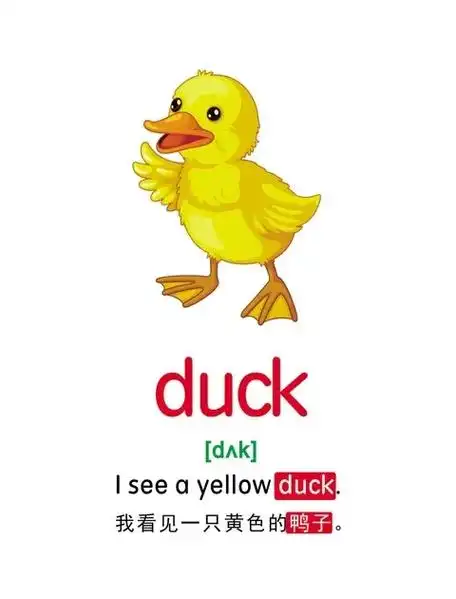 一年级英语单词卡片图 - 抖音