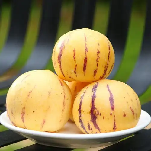 云南人参果5斤装中大果6080g