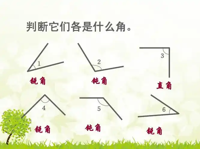 2     锐角 4 钝角 5 直角 6 锐角 钝角 锐角
