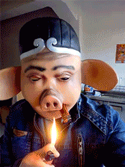 搞笑gif图美女你扮演的什么角色我怎么看不懂