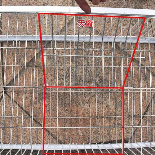 抓鸽子天落笼捕鸽神器只进不出全自动跳门撞门笼鸟笼鸽具户外野外