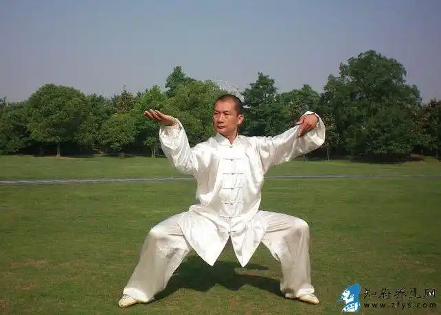 [杨氏太极拳](28式入门班)【绿洲会馆 oasis club】