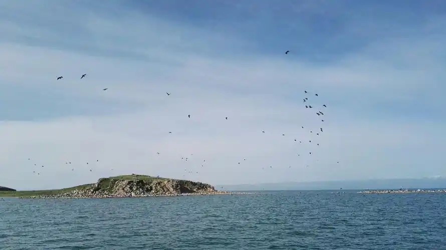 青海湖海心山攻略,青海湖海心山门票/游玩攻略/地址/图片/门票价格