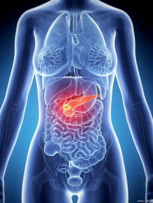 这一种癌善于伪装,呼吁:这些症状别把它当胃病