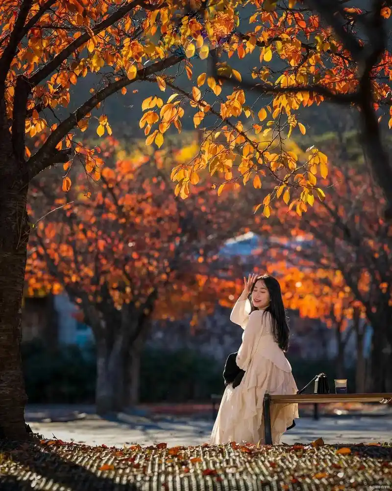 人像摄影,摆姿势绝技,这5个技巧帮你照片姿势优美