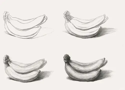 素描香蕉的结构步骤画法