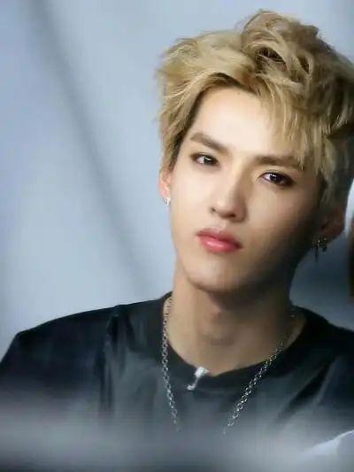 吴亦凡 kris 壁纸 明星 综艺 男神帅哥 美男写真 可爱头像 时尚潮男