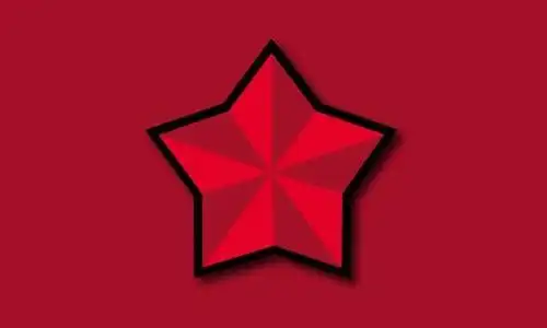 红色革命作文800字