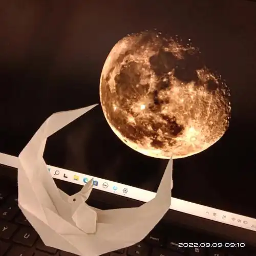 舍友叠的vs我叠的09#月亮兔子折纸  #月亮兔子  #月亮  #小兔子  是