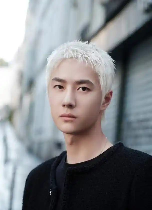 王一博亮相巴黎时装周,白发造型时尚感十足,男人味十足!