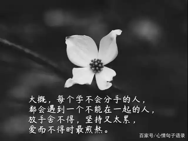 发朋友圈悲伤的句子,写给心累崩溃的自己