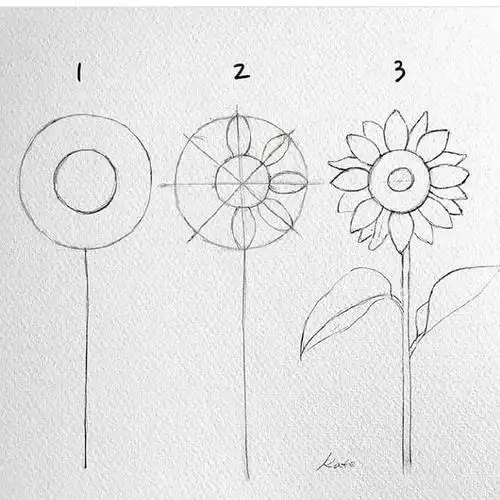 花的简笔画教程#简笔画