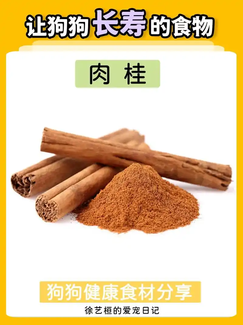肉桂作为我们日常的香料,也是一味很好 - 抖音