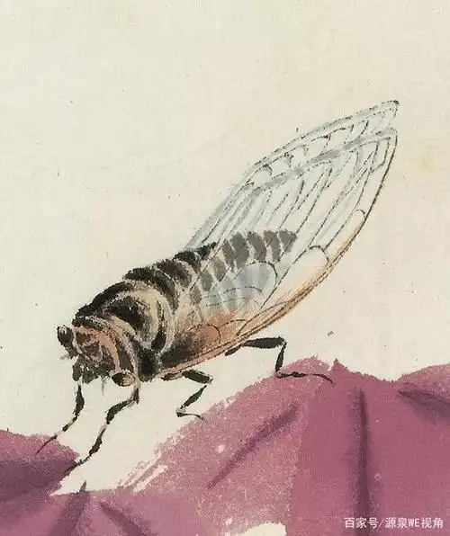 大家墨笔下的昆虫,当初自学国画时曾拿它们做临摹